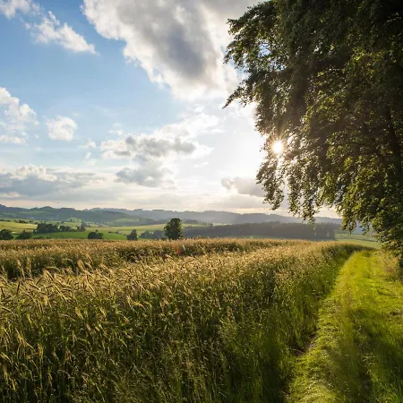 Schulte-goebel * シュマレンベルク