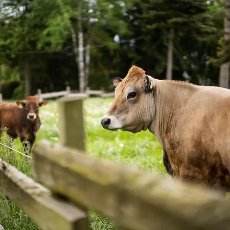 Schulte-göbel Apartment Schmallenberg