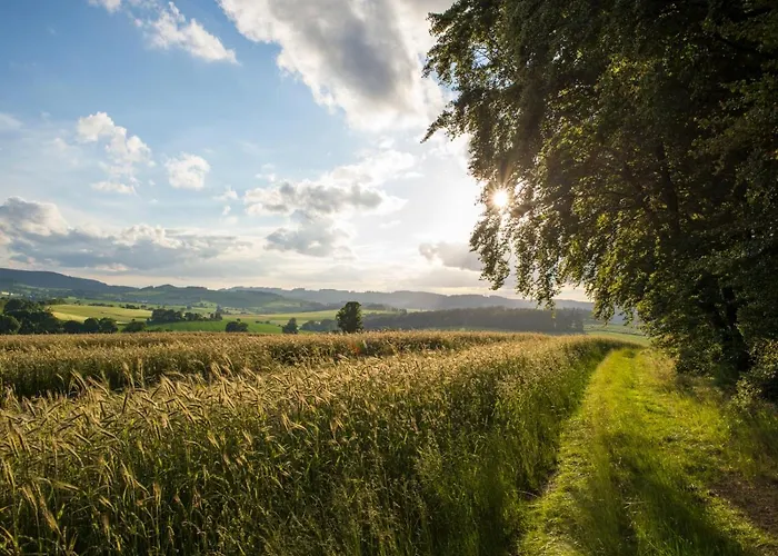 Schulte-goebel * シュマレンベルク