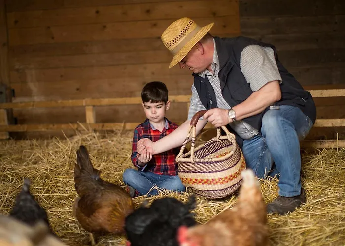 Schulte-goebel * シュマレンベルク