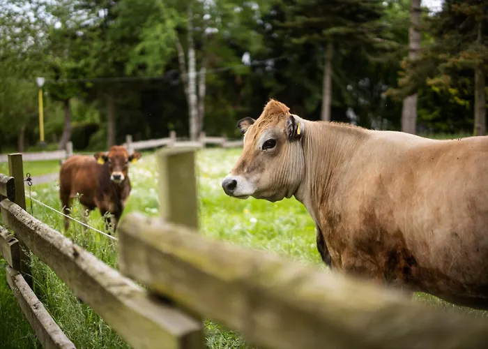 Schulte-goebel Διαμέρισμα Schmallenberg